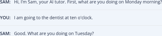 Conversation with transcript visible
